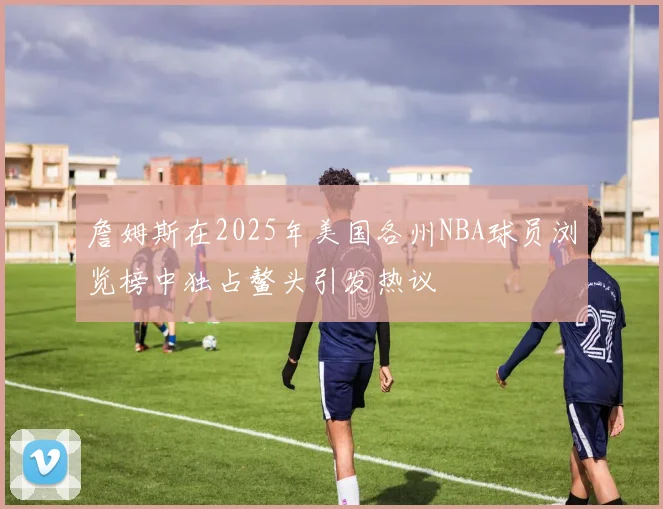 詹姆斯在2025年美国各州NBA球员浏览榜中独占鳌头引发热议