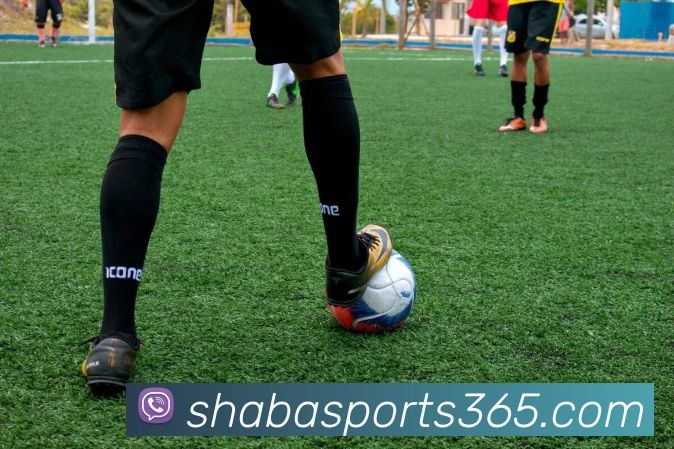 沙巴体育平台生态图