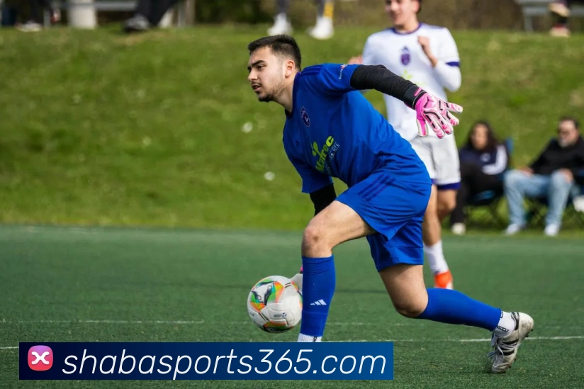 沙巴体育APP 封面图